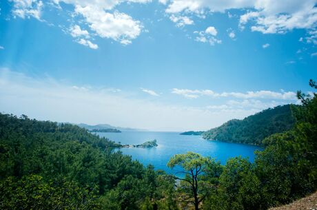 Datça Badem Çiçeği Festivali