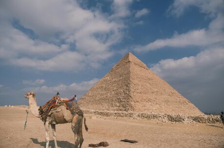 İzmir Hareketli Baştan Başa Mısır