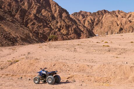 İzmir Hareketli Baştan Başa Mısır