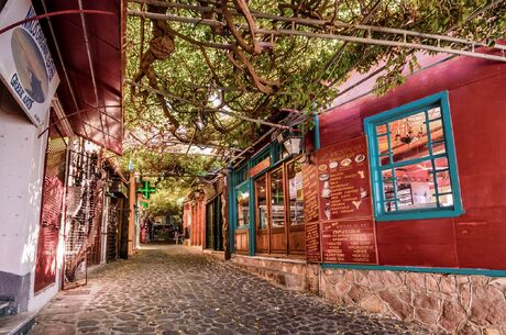 Sevgililer Günü Özel | Midilli Turu