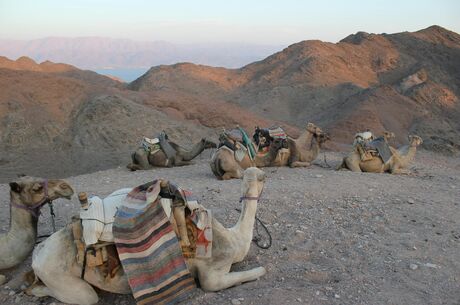 İzmir Hareketli Sharm El Sheıkh 4 Gece